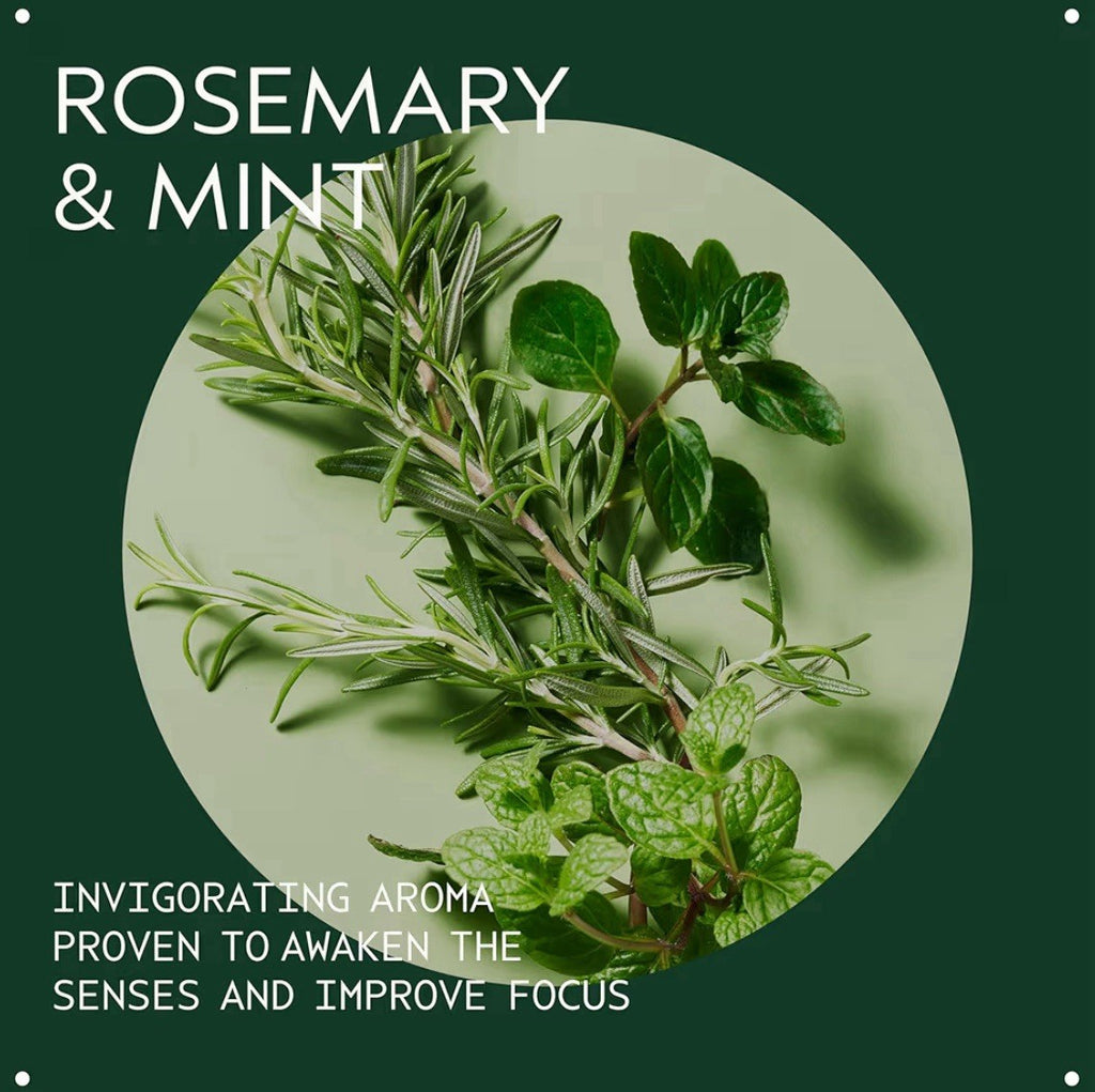 Aveda Rosemary Mint Purifying Shampoo 8.5oz 250ml (8144)