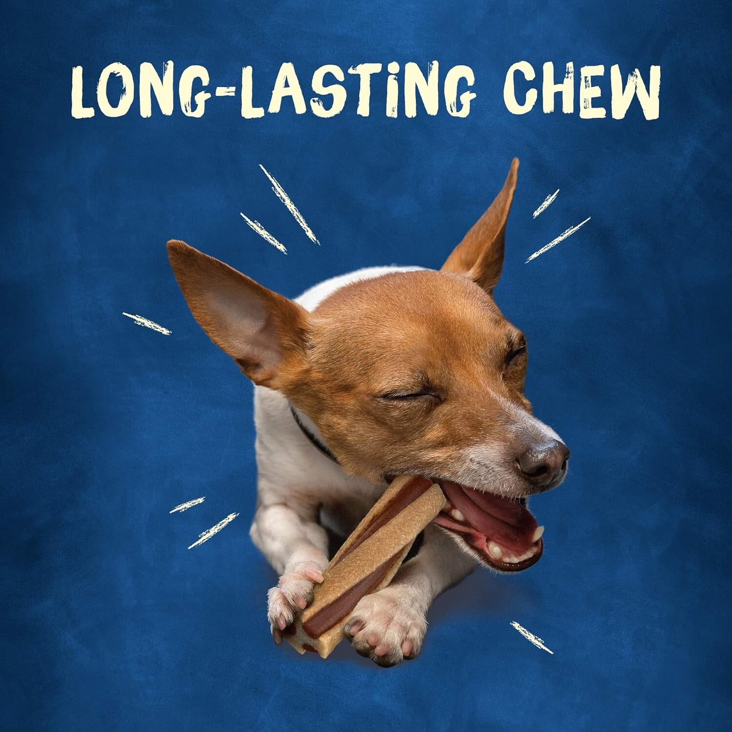 Busy Beggin' Twist'd Tiny Dog Treats (SIX PACK) Purina 10 ct. Pouches