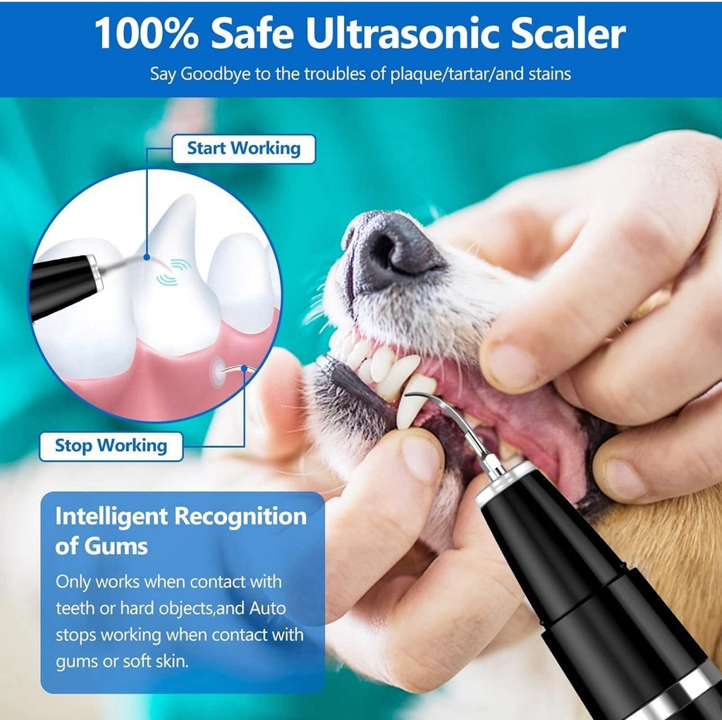 Sonic Electric Tooth Cleaner for Dogs - With Plaque Teeth Cleaning Kit