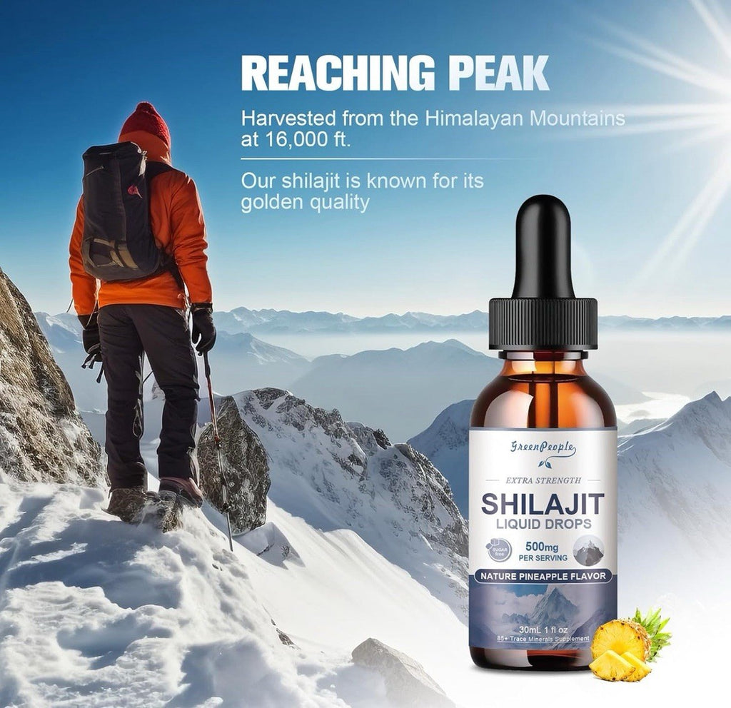 Pure Shilajit Fulicacid Drops Natural Drops Daily Energy Immune System Support