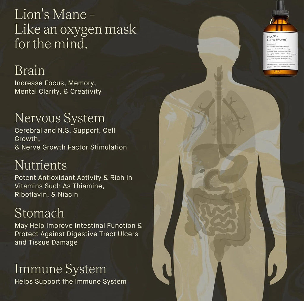 Lions Mane Drops: Adaptogen Mushroom Blend for Mental Clarity & Energy 2 fl oz