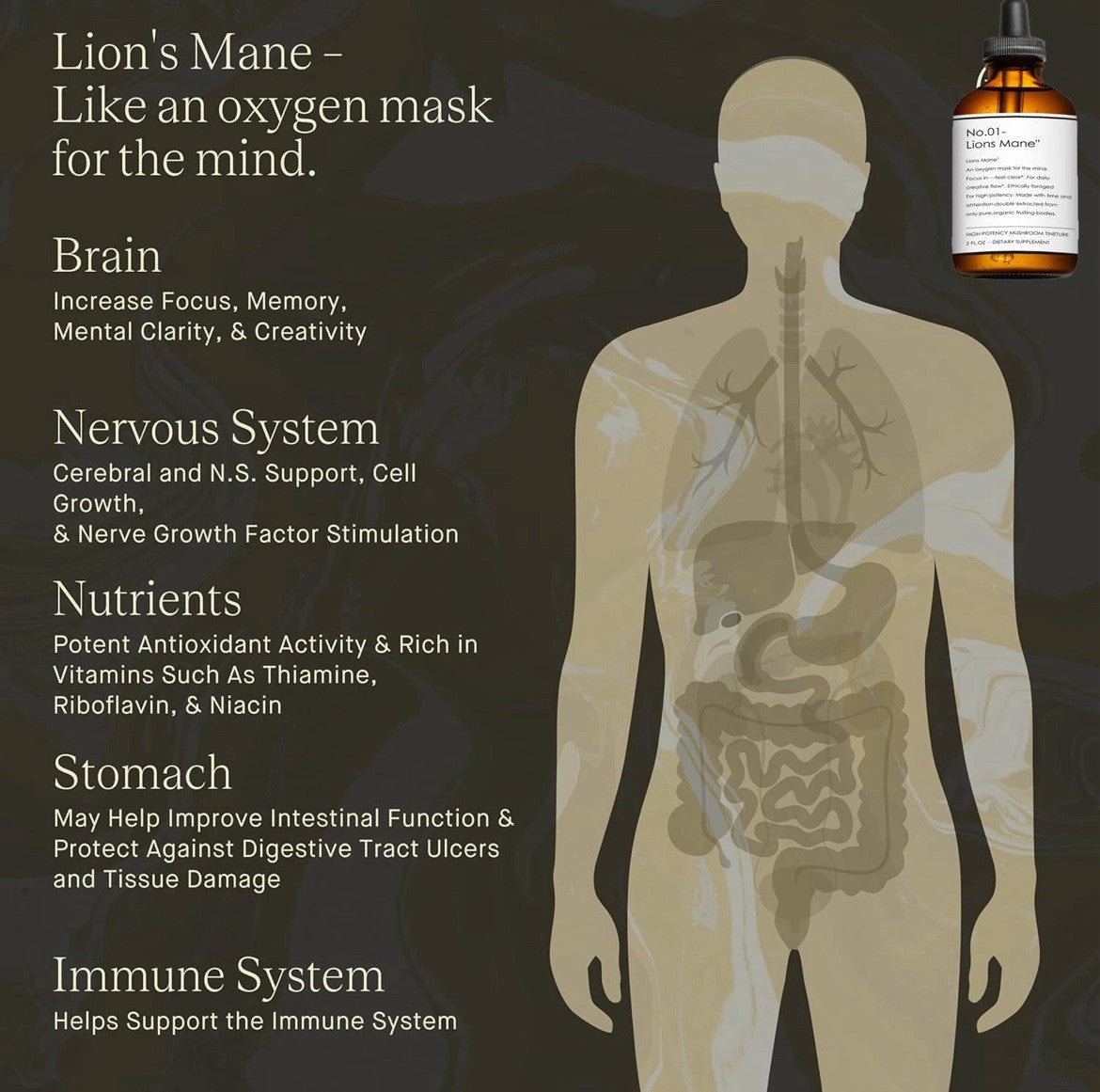 Lions Mane Drops: Adaptogen Mushroom Blend for Mental Clarity & Energy 2 fl oz